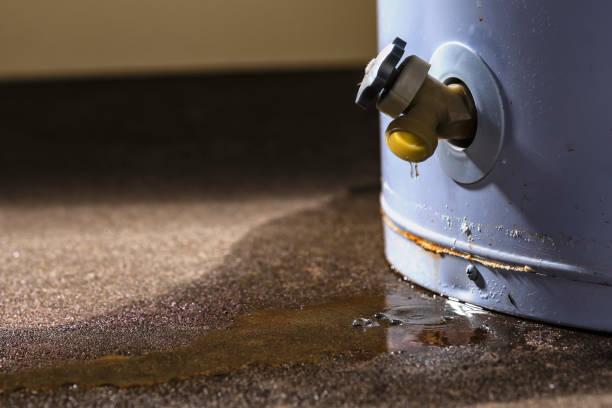Best Flood restoration services  in Hoopeston, IL