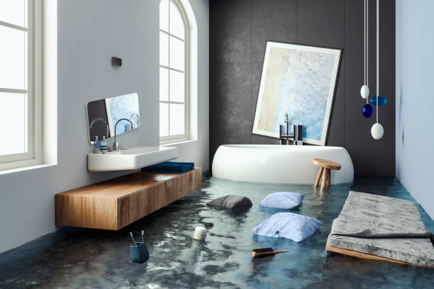 Best Carpet water damage restoration  in Hoopeston, IL