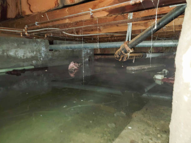 Professional Water damage restoration in IL
