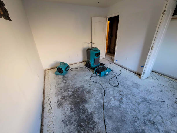 Best Fire Damage Restoration  in Hoopeston, IL