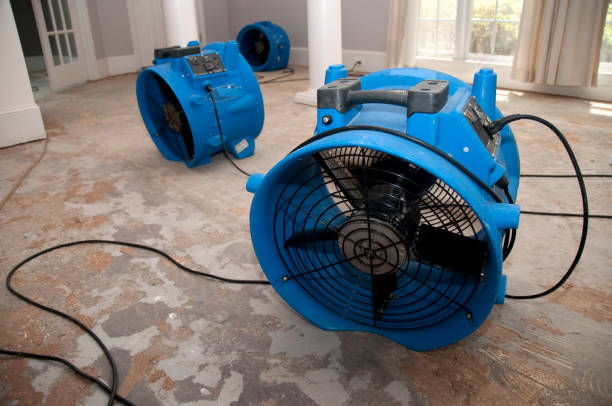 Best Sewage cleanup and water damage restoration  in Hoopeston, IL