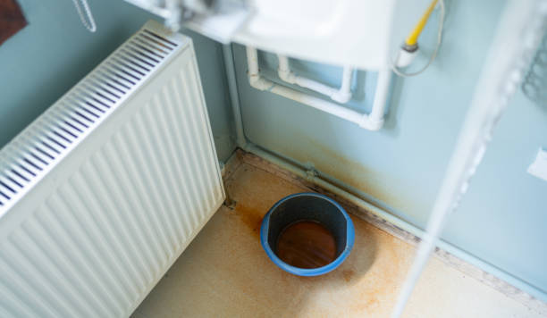 Best Local water damage restoration  in Hoopeston, IL