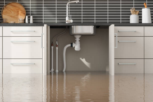 Best Flood damage cleanup  in Hoopeston, IL