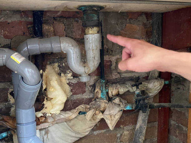 Best Water damage restoration experts  in Hoopeston, IL