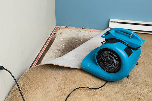 Best Emergency water damage restoration  in Hoopeston, IL